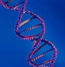 Công nghệ gen – vũ khí “huỷ diệt” của tương lai (P.I)