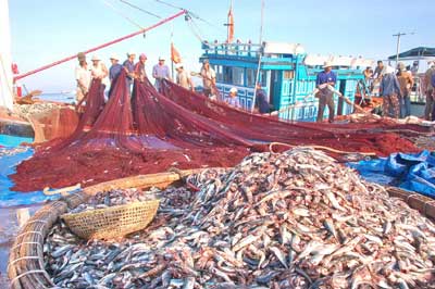 Lý Sơn - Bảo tàng Hoàng Sa giữa biển (Kỳ 1)