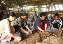 Lính nữ Trường Sơn: NGÀY ẤY, BÂY GIỜ...