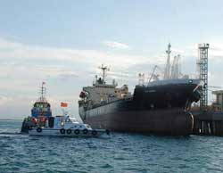 Tung ra thị trường mẻ dầu diesel đầu tiên của Việt Nam