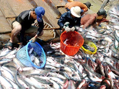 Khơi dòng xuất khẩu