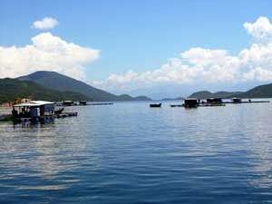 Tàu Việt Nam đầu tiên chở dầu tới Vân Phong