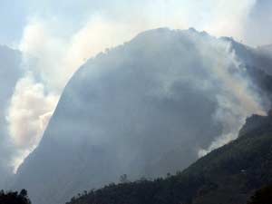 Cơ bản khống chế được các đám cháy