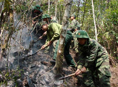 Chữa cháy rừng với quyết tâm cao nhất