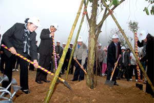 Khắp nơi tổ chức “Tết trồng cây đời đời nhớ ơn Bác Hồ”