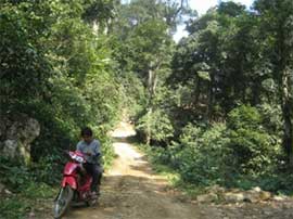 Giữ rừng mùa “gió chướng”