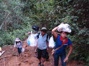 Trái tim hồng của bác sĩ 