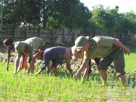 Người sau bản Rào Tre
