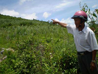 Những hạt gạo trên sàng