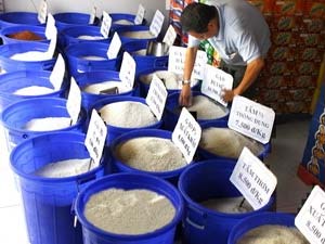 Hà Nội ứng 500 tỷ đồng bình ổn giá 9 mặt hàng