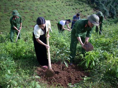 Cơ hội mới với trí thức trẻ tình nguyện