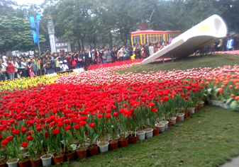 Đẹp đến phút chót