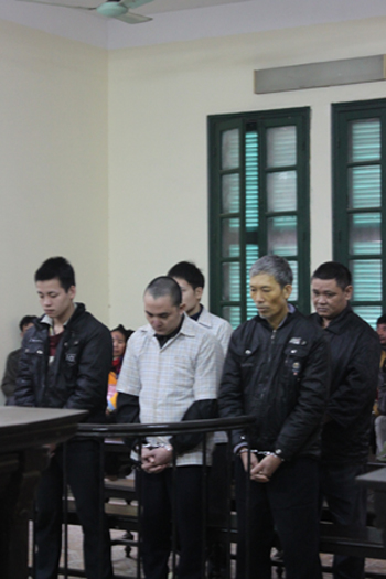 Xét xử nhóm “sưa tặc” trên địa bàn Hà Nội