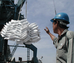 Xuất khẩu gạo đạt 6 triệu tấn