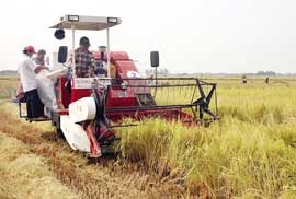 Kỳ họp thứ 6 Quốc hội XII: Thông qua Dự toán Ngân sách Nhà nước năm 2010 