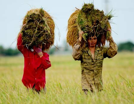 Thủ tướng Nguyễn Tấn Dũng: Festival lúa gạo Việt Nam lần thứ nhất là cơ hội nâng cao giá trị và tôn vinh người trồng lúa 