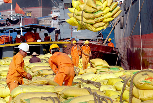 Việt Nam trúng thầu 150.000 tấn gạo giá cao 