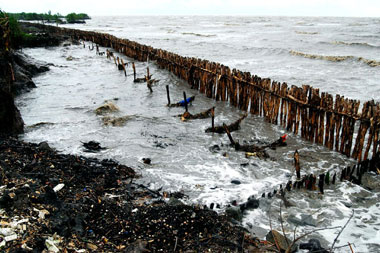 Đầu tư 1.400 tỷ đồng nâng cấp, mở rộng đê biển Gò Công - Tiền Giang