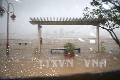 Bão số 9 trực tiếp đổ bộ vào giữa Đà Nẵng - Quảng Nam, Quảng Ngãi 