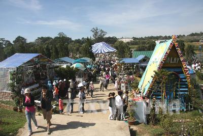 Triển lãm hoa, cây cảnh Việt Nam và quốc tế 