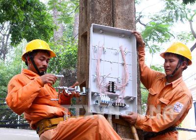 Ngành Điện Thủ đô ra quân củng cố lưới điện trên 7 tuyến đường dây và trạm biến áp 