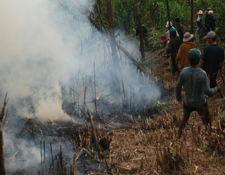 Phòng chống cháy và bảo vệ rừng ở miền Trung - Tây Nguyên 