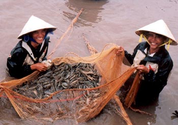 Bức tranh quê khởi sắc