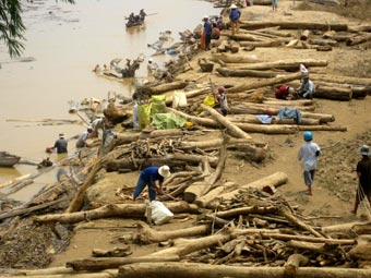 “Giải cứu” cầu Quảng Huế