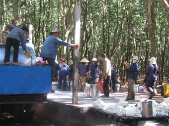 Giám đốc cũng ăn cơm cặp lồng