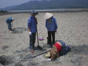 Nhọc nhằn đào sá sùng