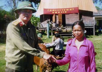 Sắc xanh đất gió