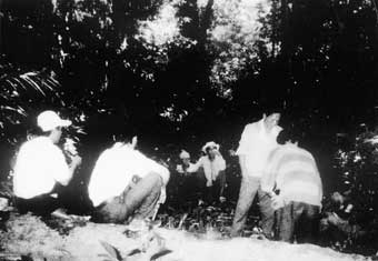 Tri ân đồng đội