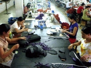 EC chưa phản ánh đúng hoạt động sản xuất giày Việt Nam