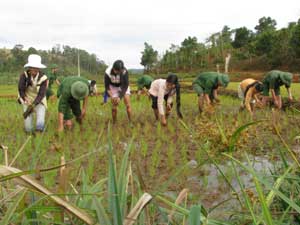“Ba bám, bốn cùng” với đồng bào vùng biên giới