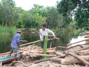 Để rừng không bị tàn phá...