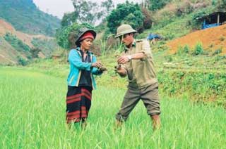 Giúp dân trồng lúa và xóa mù chữ