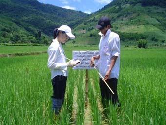 Hơn 1.612 tỷ đồng đầu tư cho các dự án nông nghiệp