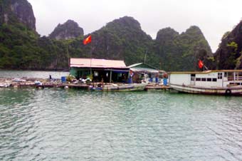 Nuôi trai lấy ngọc, nghề “hái ra tiền” ở đảo Vân Đồn