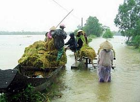 Thủ tướng gửi lời thăm hỏi nhân dân bị thiệt hại do mưa lũ