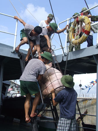 Tết đang đến Trường Sa