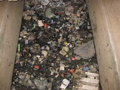 Khổ vì... sông chết