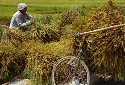 “Được mùa” trong thiên tai