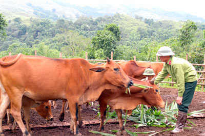 Hai người trên đỉnh Nậm San