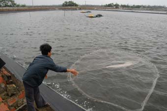 Tiềm năng biển, đảo