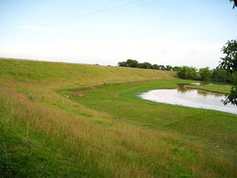 Con đường tình yêu