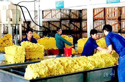 Nhiều cơ hội và thách thức