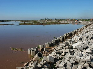 Việt Nam xây chiến lược dài hạn ứng phó biến đổi khí hậu