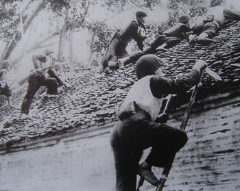 Xây dựng và sử dụng bộ đội chủ lực làm nòng cốt cho toàn quốc kháng chiến