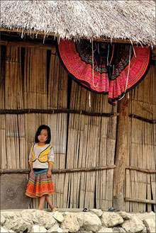 Mái gianh quê nghèo