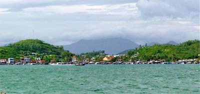 Hòn Miễu, bảo tàng sinh vật biển